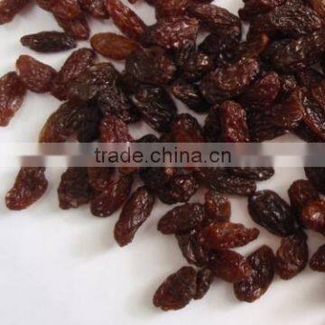 Sultana Raisin