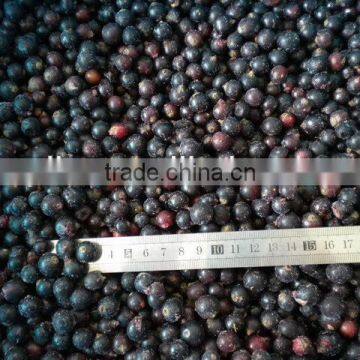 frozen black currant