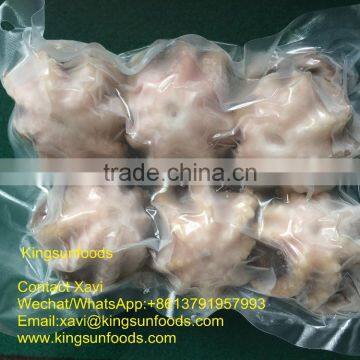 Wholesale Baby Octopus WR For Sale