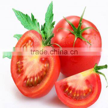 Early maturity f1 hybrid determinate pink tomato seeds different types of seeds