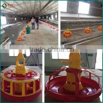 Control Shed Poultry Automatic Feeder for Chicken and Broiler Feeding System for Farming Poultry Chicken Birds photo-6
