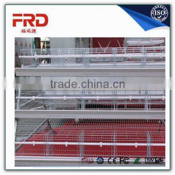 FRD Animal & Poultry Husbandry Equipment chicken layer/layer poultry cages for nigeria/africa