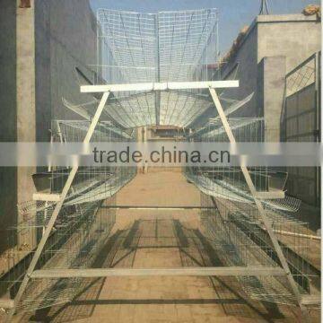 High quality cheap poultry cage layer chicken cage for sale