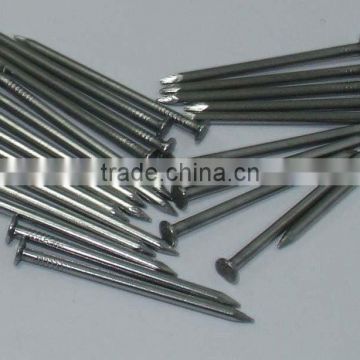 Galvanized Square Shank Nail/ Boat Nail/ China Factory