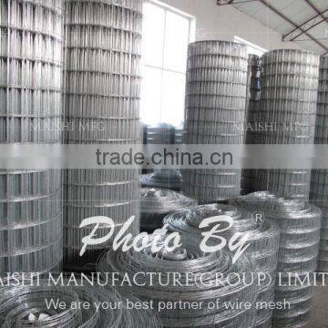 Factory Welded Wire Mesh photo-2