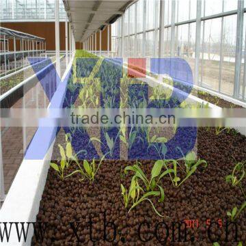 Commercial Glass Multi Span Greenhouse