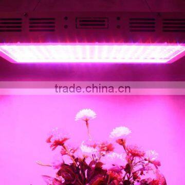 High Quality Greenhouse Cheap 600w Led Grow Lights for Sale photo-3