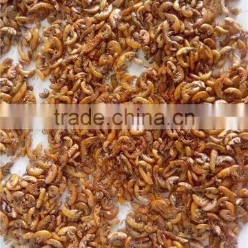 Microwave Dried Gammarus for Pet (dragon Fish ,turtle,hamster);Pet Food Dried Gammarus