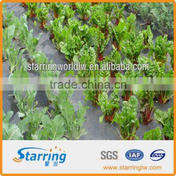 Vegetable Farm Weed Blcok Fabric/Weed Barrier Film