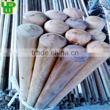 Varnished wooden hoe handle for garden tools