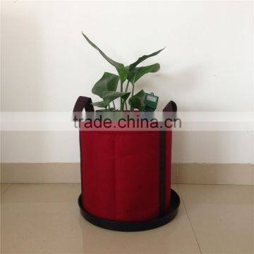 2016 New Design Wholesale Colored Non-woven Grow Bag photo-3