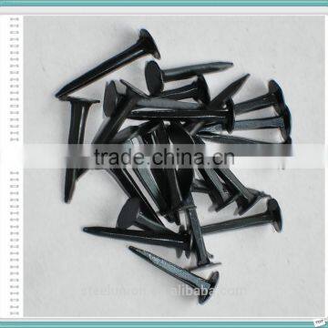 Blue Shoe Tack Nails photo-2