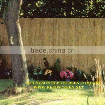 reed fence screen for gardening