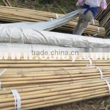 Different Sizes Tonkin Bamboo Stakes/poles/canes for Agriculture photo-4