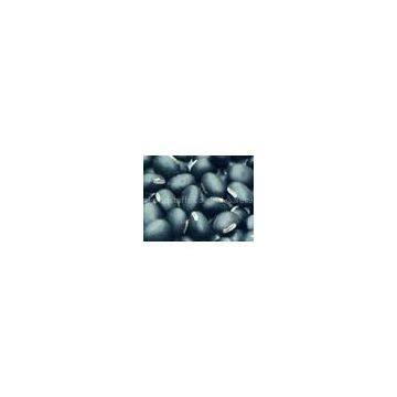 Black Soybean Hull Extract (Black Bean Peel Extract)