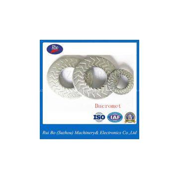 SS304 316 High Quality Lightning Single Side Tooth Washer/washers with ISO