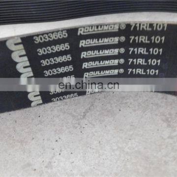 3033665 Belt