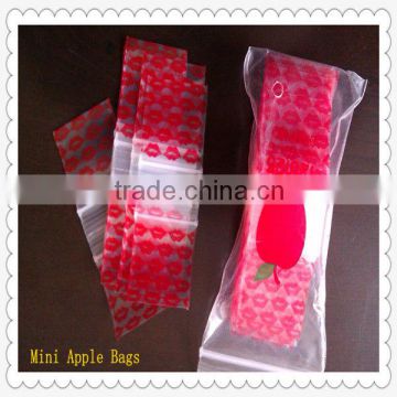 Plastic Apple Brand Reclosable Baggies