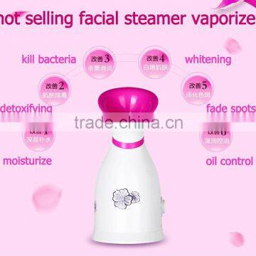 Mini Facial Steamer Vaporizer photo-2