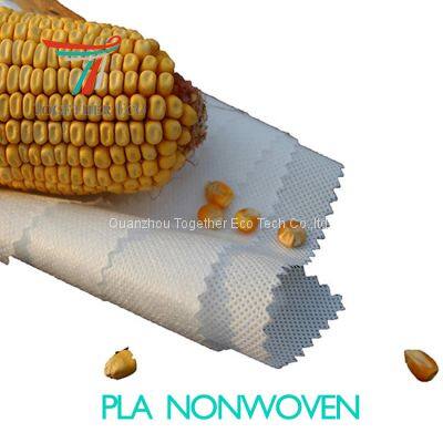 Pla Nonwoven Fabric Corn Fiber Spun-bonded Hot Pressing Nonwoven For Bags 100% Pure Pla Nonwovens Fabric photo-3
