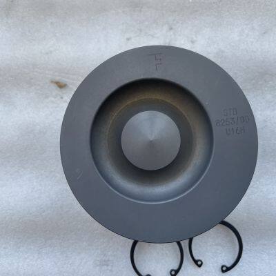 China Supplier Deutz Engine Parts Piston Kit 04501365 for Deutz BF6M2012C Engine photo-3