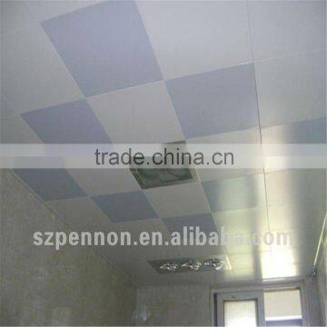 Artistic Ceiling Tiles Suspended Ceiling