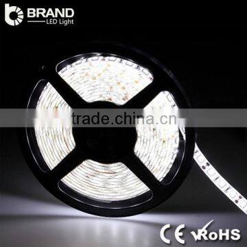 DC12V SMD2835 3W/M Christmas led strip light outdoor use, 4000K led strip 5050 light