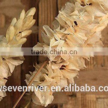 Didn't Have Chicken Bell Decorative Flower Simulation Artificial Flowers Simulation Flowers Sitting Room Decorated the Ground dr photo-2