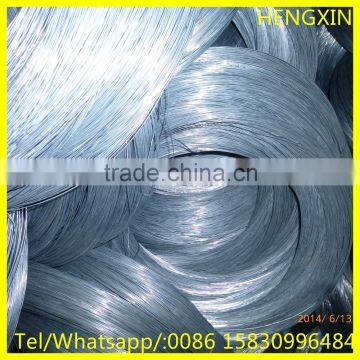 electro galvanized iron wire