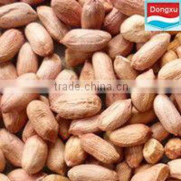 peanut seed long type