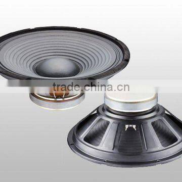 Woofer PA Speaker