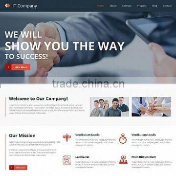 Wordpress web development