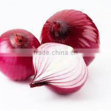 Red, yellow and white onion