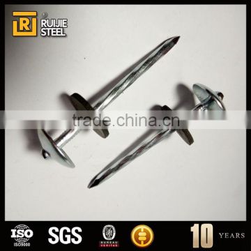 construction nail/large head nail with washer/Galvanized umbrella head roofing Nails