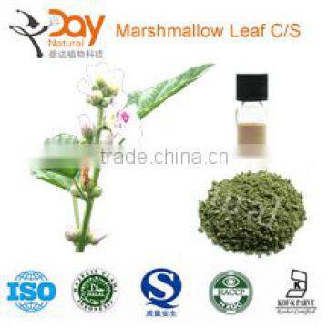 2015 New Althaea Officinalis Planting Wholesale