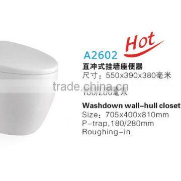 Wall-hung Toilet photo-2