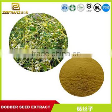 China dodder seed extract powder/semen cuscutae seed extract