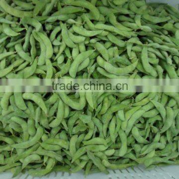 frozen soya beans