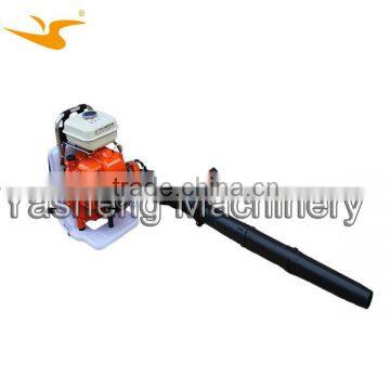 Gasoline Leaf Blower for Clearing Leaves