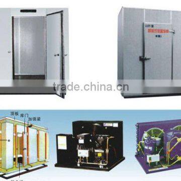 High quality cold room refrigeration unit for fresh keeping