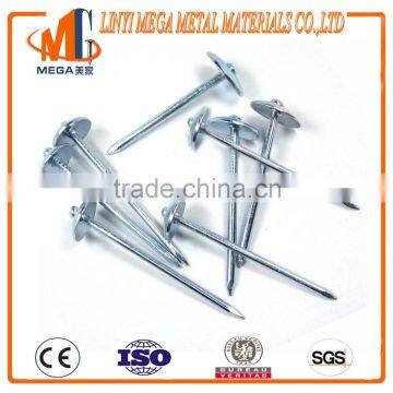 umbrella head roofing nail Sharp Diamond Point