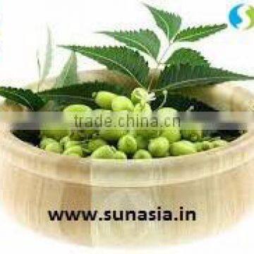 Neem Oil Natural From India