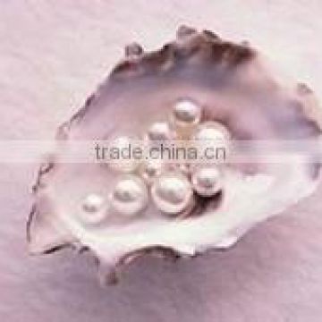 Hydrolyzed pearl powder