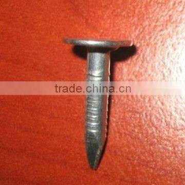 galvanized smooth shank cupper nails