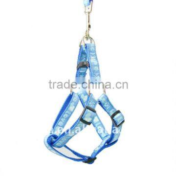 pet leash and harness