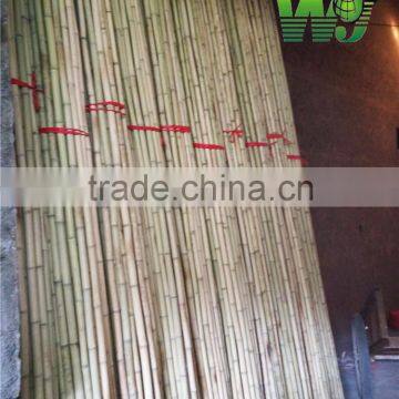 wy-z010 bamboo stick stake natural / dyed color for agriculture and horticulture