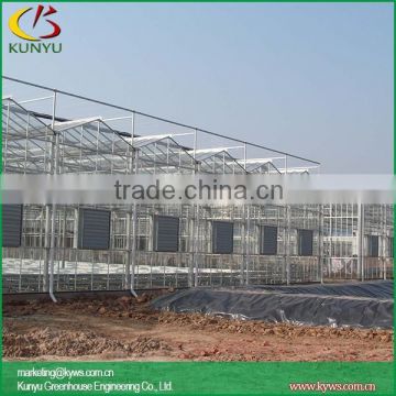 Venlo roof curved glass greenhouse small indoor glass greenhouse