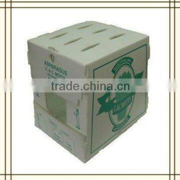 Eco-friendly corflute vegetable packing box,core flute asparagus box,correx box