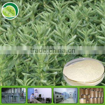 factory Stevia extract powder