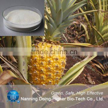 China 100% Natural Pineapple Extract Bromelain Plant Extract Bromelain 9001-00-7 photo-3